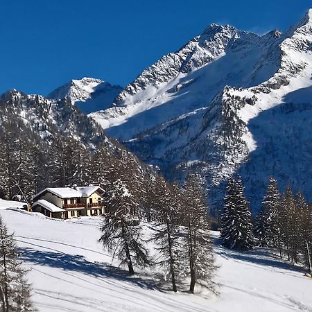 Le Coin Des Melezes - Nature & Trek - Camere In Baita Di Montagna Brusson Dış mekan fotoğraf