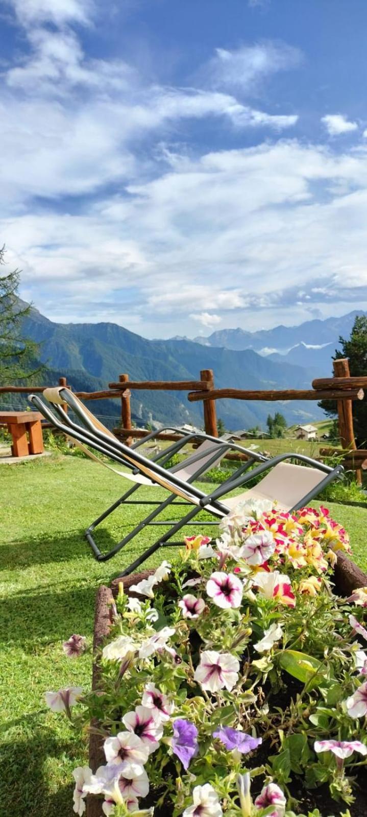 Le Coin Des Melezes - Nature & Trek - Camere In Baita Di Montagna Brusson Dış mekan fotoğraf