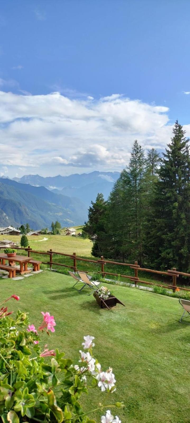 Le Coin Des Melezes - Nature & Trek - Camere In Baita Di Montagna Brusson Dış mekan fotoğraf