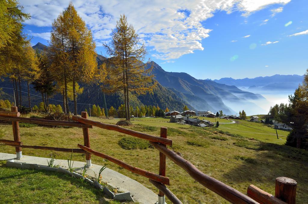 Le Coin Des Melezes - Nature & Trek - Camere In Baita Di Montagna Brusson Dış mekan fotoğraf