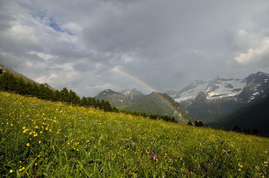 Le Coin Des Melezes - Nature & Trek - Camere In Baita Di Montagna Brusson Dış mekan fotoğraf