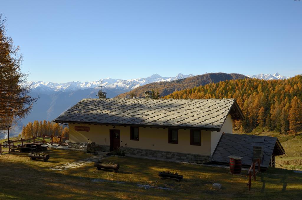 Le Coin Des Melezes - Nature & Trek - Camere In Baita Di Montagna Brusson Dış mekan fotoğraf