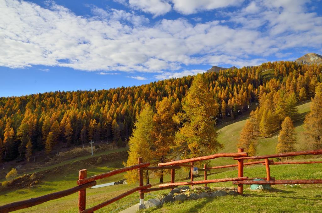 Le Coin Des Melezes - Nature & Trek - Camere In Baita Di Montagna Brusson Dış mekan fotoğraf