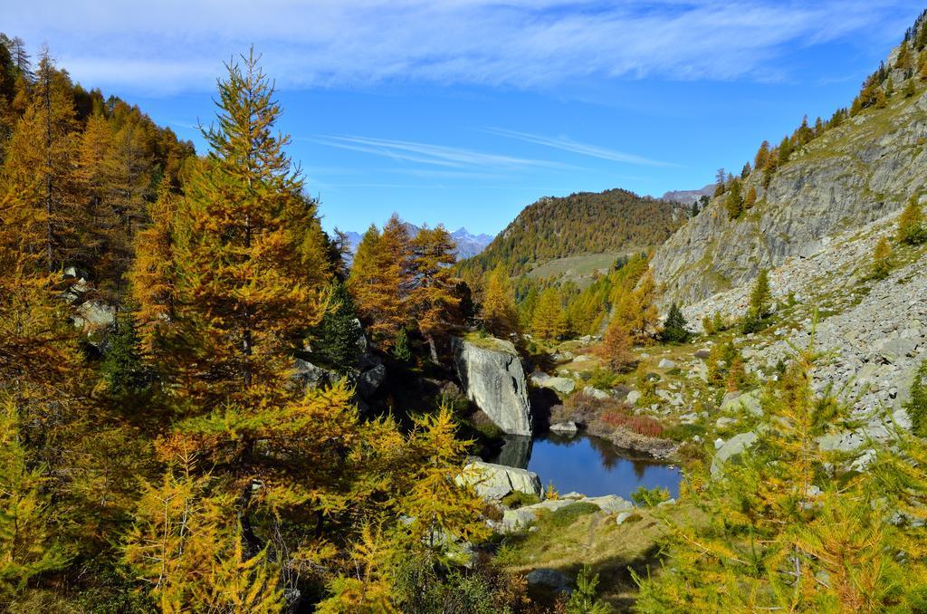 Le Coin Des Melezes - Nature & Trek - Camere In Baita Di Montagna Brusson Dış mekan fotoğraf