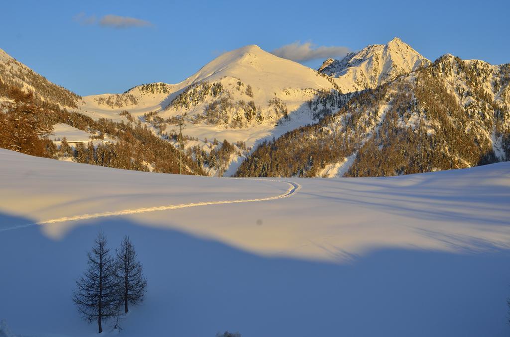 Le Coin Des Melezes - Nature & Trek - Camere In Baita Di Montagna Brusson Dış mekan fotoğraf