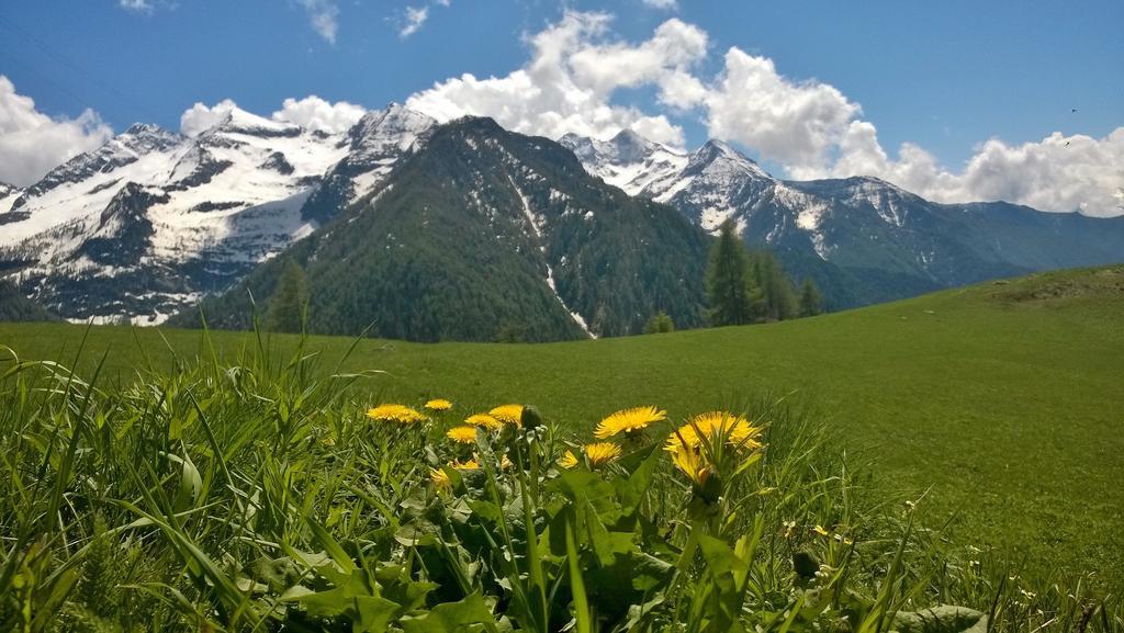 Le Coin Des Melezes - Nature & Trek - Camere In Baita Di Montagna Brusson Dış mekan fotoğraf